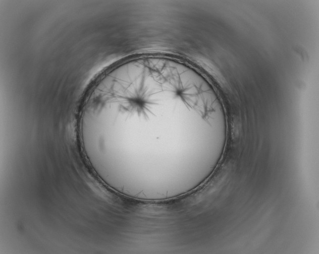 X0000114031356200910161810