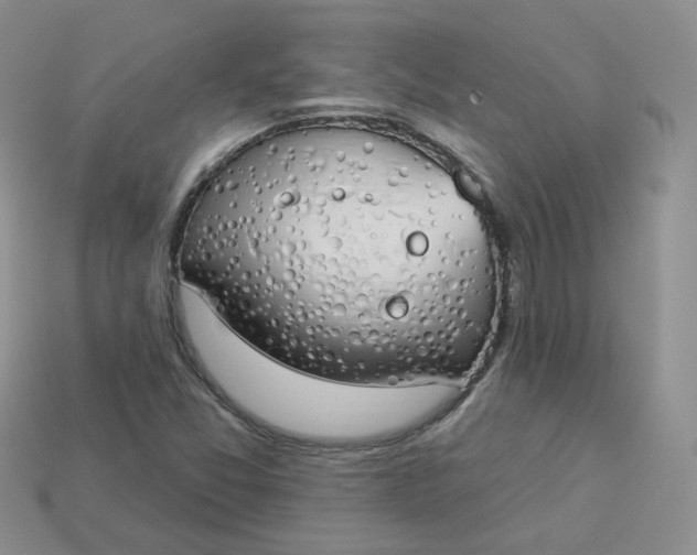 X0000114031357200910161810