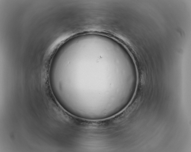 X0000114031359200910161810