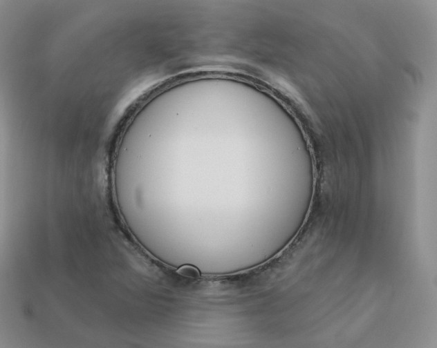 X0000114031360200910161810