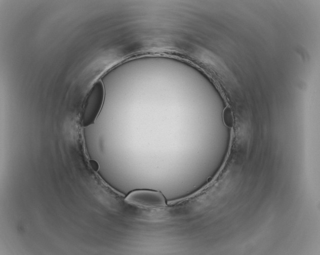 X0000114031361200910161810