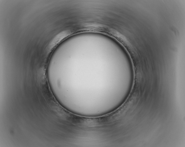 X0000114031362200910161810