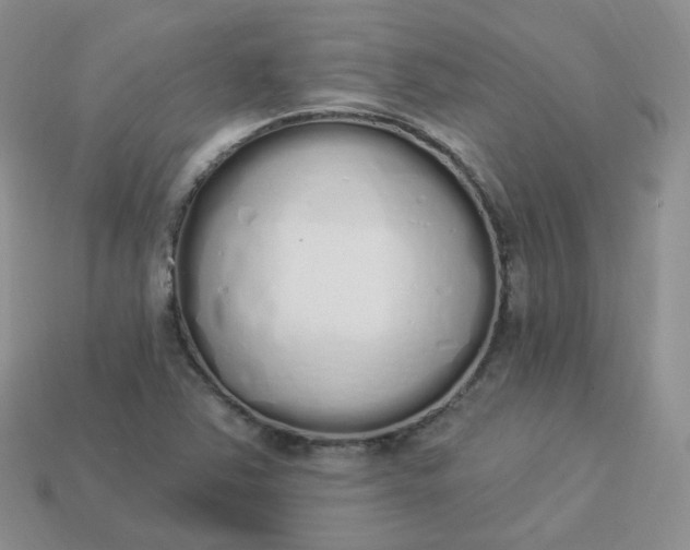 X0000114031363200910161810