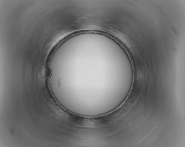 X0000114031364200910161810