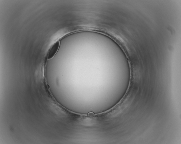 X0000114031365200910161810