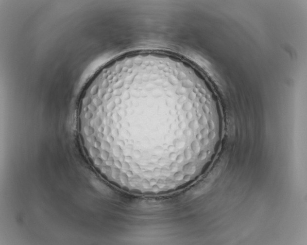 X0000114031366200910161810