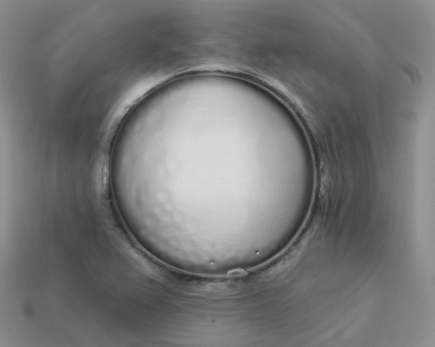 X0000114031367200910161810