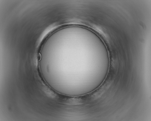 X0000114031368200910161810