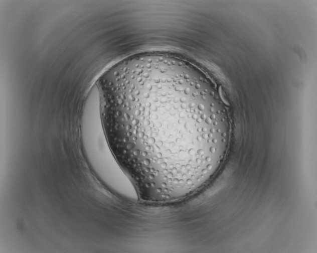 X0000114031369200910161810