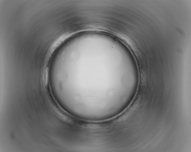 X0000114031371200910161810