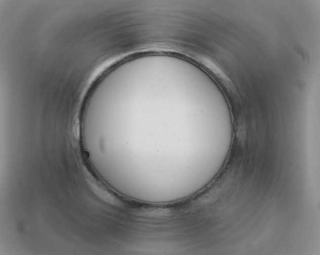 X0000114031372200910161810