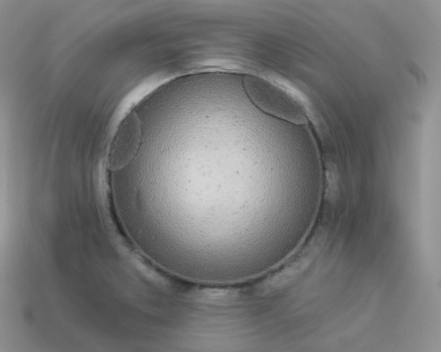 X0000114031373200910161810