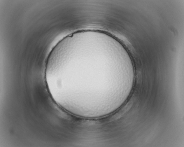 X0000114031374200910161810