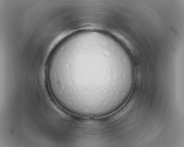 X0000114031375200910161810