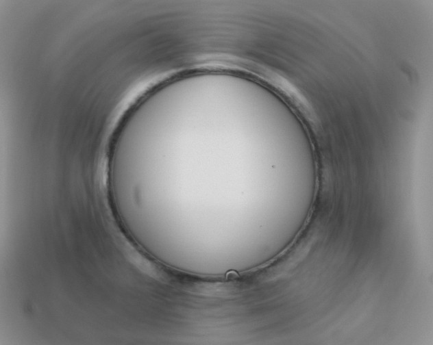 X0000114031376200910161810