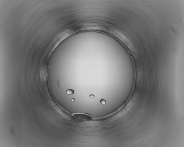 X0000114031377200910161810