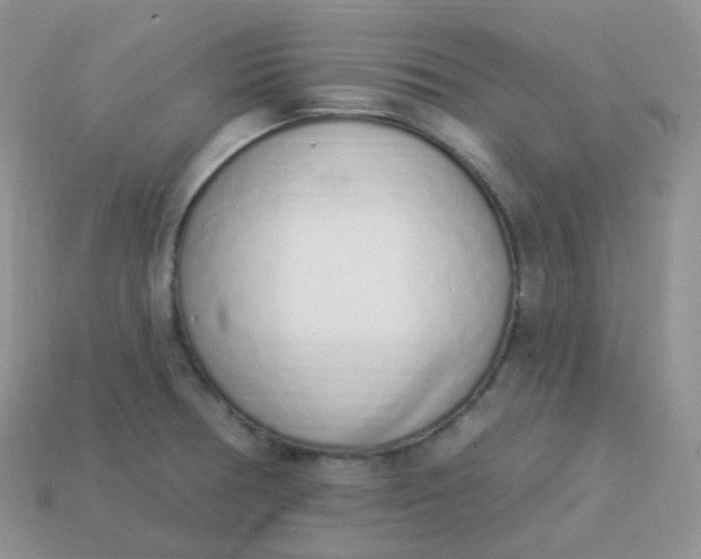 X0000114031378200910161810