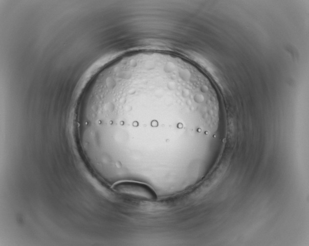 X0000114031379200910161810