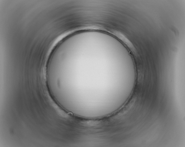 X0000114031380200910161810