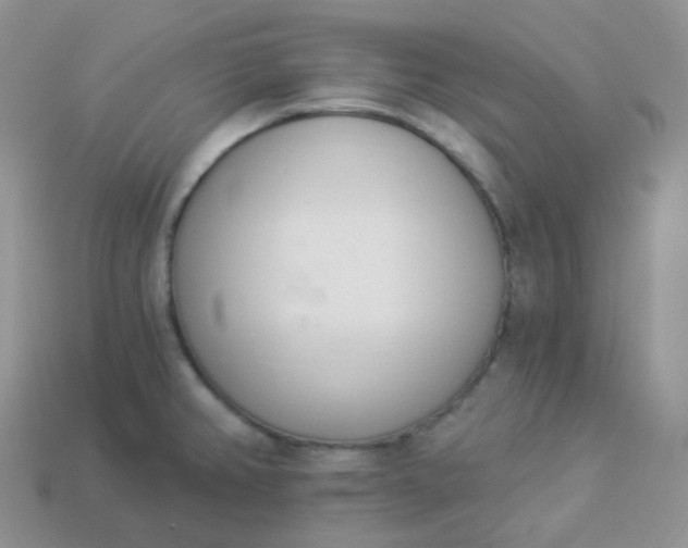 X0000114031382200910161810