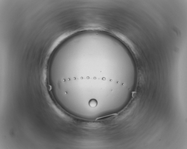 X0000114031383200910161810