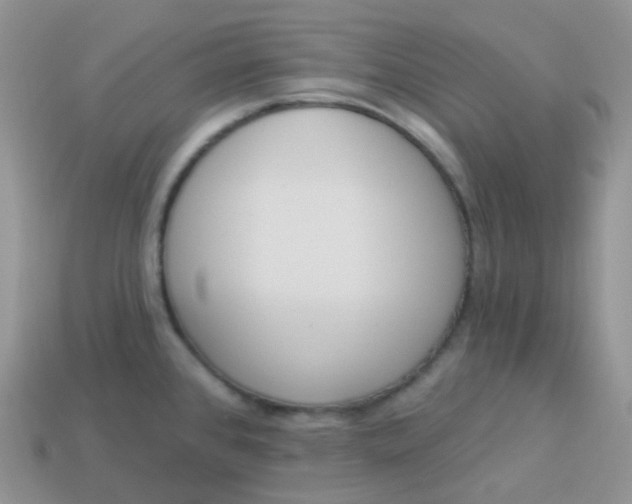 X0000114031384200910161810