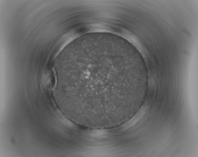 X0000114031385200910161810