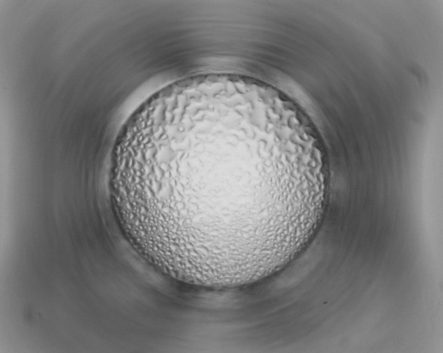 X0000114031386200910161810