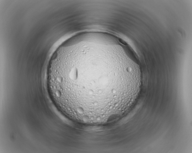 X0000114031387200910161810