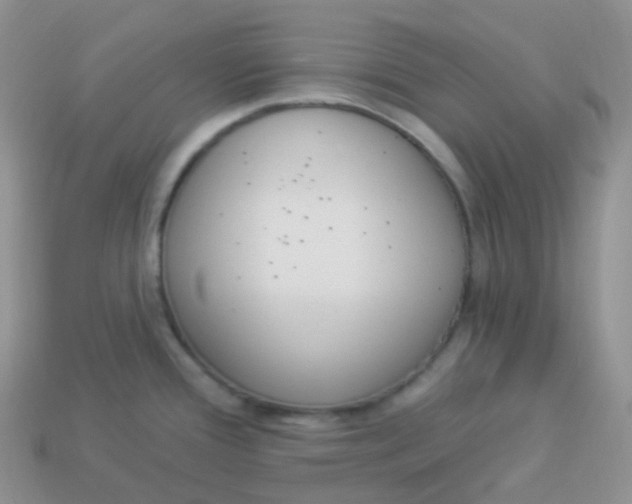 X0000114031388200910161810