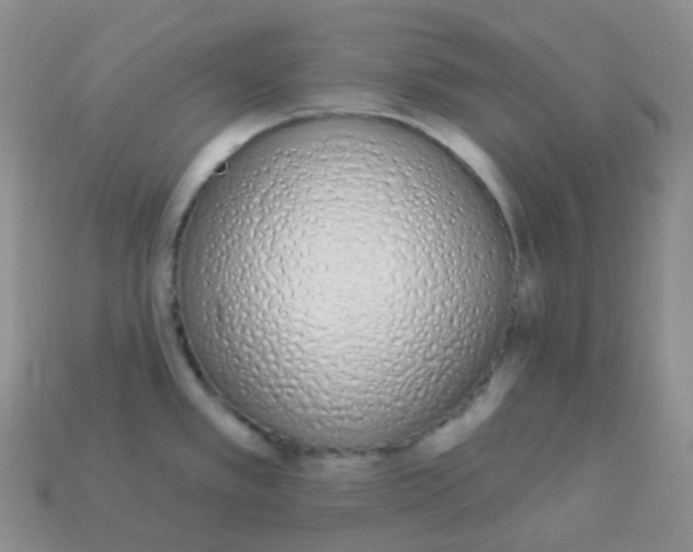 X0000114031389200910161810