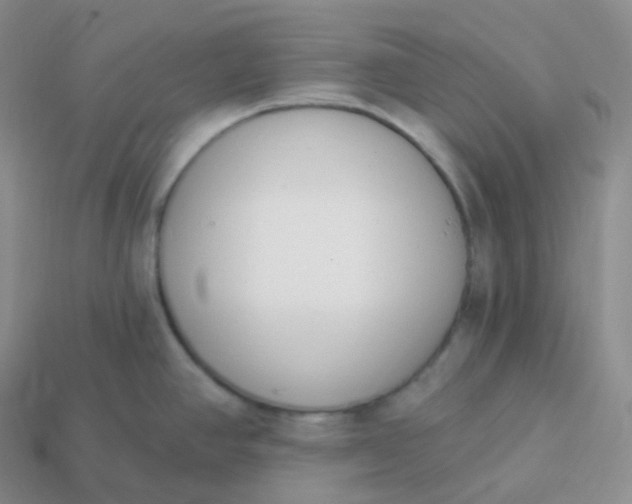 X0000114031390200910161810