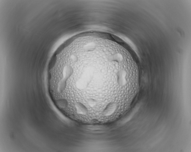 X0000114031391200910161810