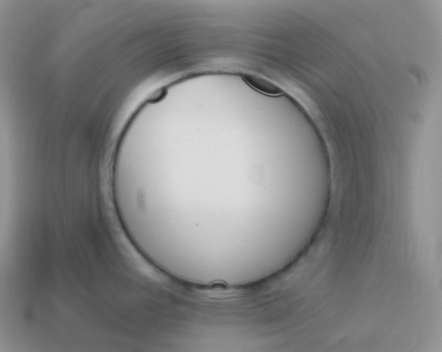 X0000114031392200910161810