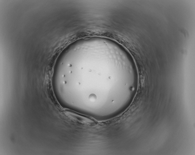 X0000114031397200910161809