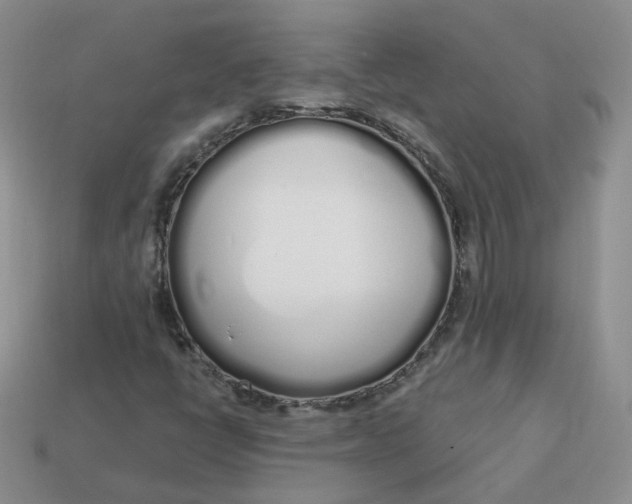 X0000114031398200910161809