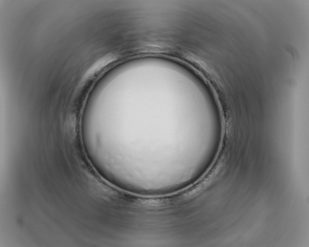 X0000114031402200910161809