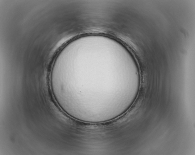 X0000114031404200910161809