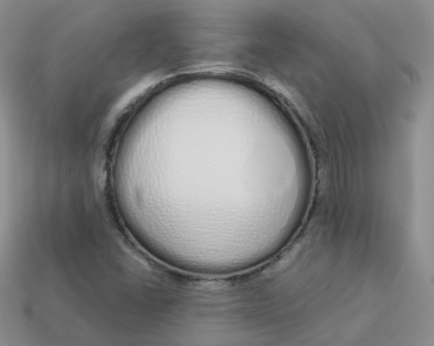 X0000114031406200910161809