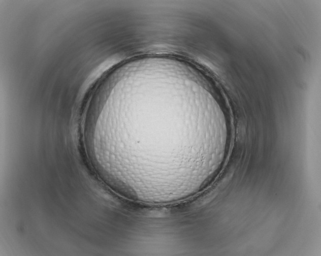 X0000114031410200910161809