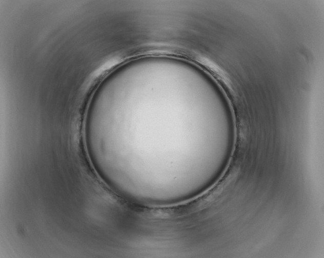 X0000114031411200910161809