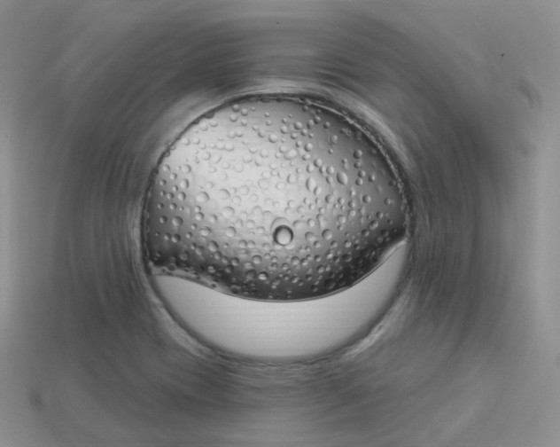 X0000114031417200910161809