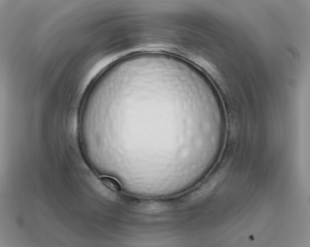 X0000114031420200910161809