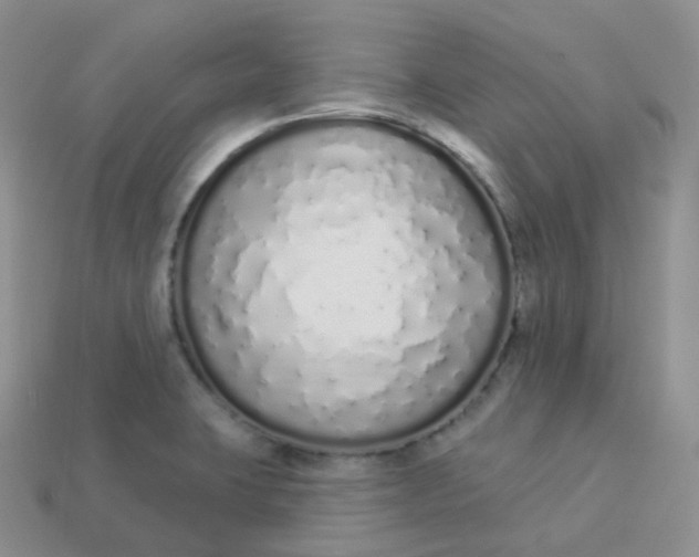 X0000114031423200910161809