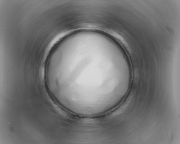 X0000114031424200910161809