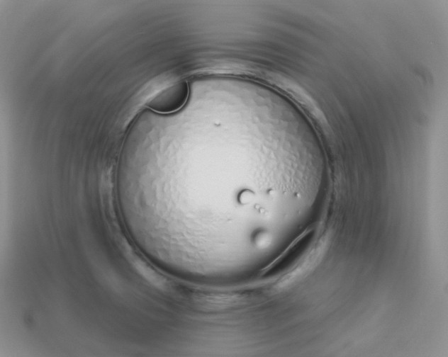 X0000114031425200910161809