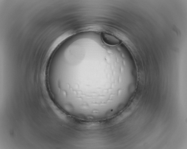 X0000114031426200910161809