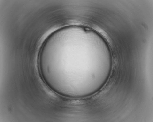 X0000114031427200910161809