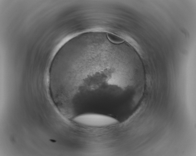 X0000114031428200910161809