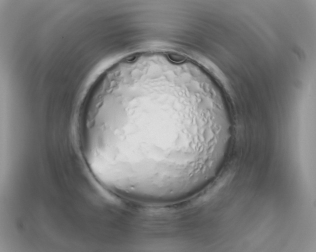 X0000114031429200910161809